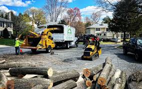Best Tree Maintenance Programs  in Hawaiian Gardens, CA